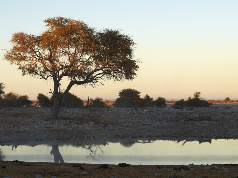 Etosha National Park, Okaukuejo